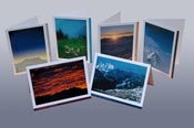 Image of PhotoVerbier 'Variety 6-Pack' SHIPPING INCL. UNTIL MAY 31st