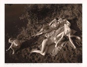 Image of JOCK STURGES: COLLECTOR EDITION A * FIRST PRICE