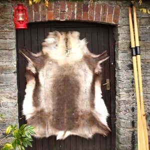Reindeer Hide Image of Reindeer Hide