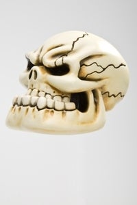Image of Punchy Skull - Bone