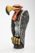 Image of Vulture