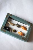 Image of Miniature Shells in Frame