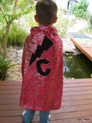 Image of Super Cape
