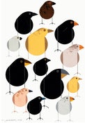 Image of Charley Harper<br>Darwin's Finches