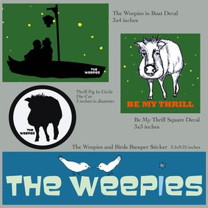 Image of The Weepies Decals