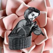 Image of Broches plastique