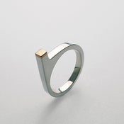 Image of Mirador_12 (cooper or gold detail)