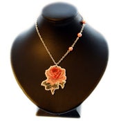 Image of Lady rose
