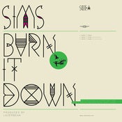 Image of Burn It Down (12" Vinyl) - Sims