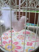 Image of Bird Cages 