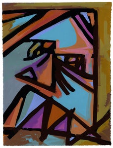 Image of "Arizona Face 2" Harry Diaz