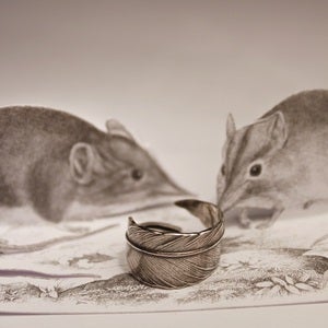 Image of Quill Ring in Silver 