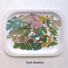 Image of Trays / Elina Minn, Jenni Rope, Terhi Ekebom