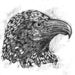 Image of Reconstructed North American Fauna Set