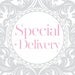 SPECIAL DELIVERY OPTION
