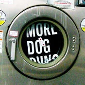 Image of More Dog Runs