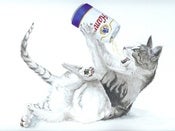 Image of Pussy Beer Party