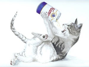 Image of Pussy Beer Party