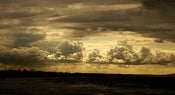 Image of Hope 4x6 prints