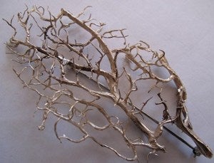 Image of Fan Coral Brooch