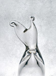 Image of Prosthesis III