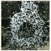 Image of Past Lives, "Strange Symmetry" LP / CD