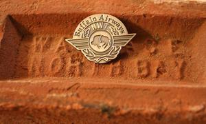 Image of Buffalo Logo Hat Pin