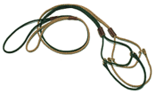 Image of BULLY SHOW LEAD