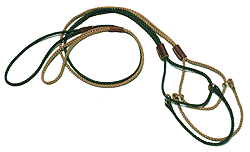 Image of BULLY SHOW LEAD