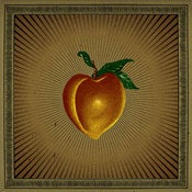 Image of Ninja Gun - Restless Rubes 12" LP