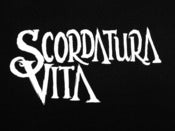 Image of Painted SV The Band Logo T-shirt Design
