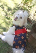 Image of Kimono (Knot) - K19 - Daruma Blue