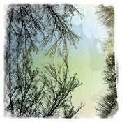 Image of Four Inch Prints (Package of 9) - Your Choice of Photos from Gallery of Over 130+