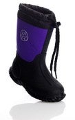Imagen de <b>ALGOT </b>purpura<br>