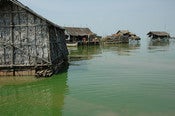 Image of Untitled 4, Floating Village, Cambodia 2006