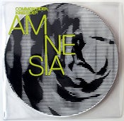 Image of Common Eider, King Eider - Amnesia 12"