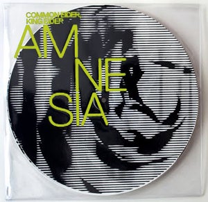 Image of Common Eider, King Eider - Amnesia 12"
