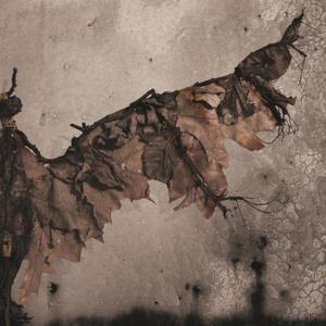 Image of Luasa Raelon "Vampyr: Light Of The Beast" CD