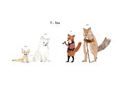 Image of F is for Fox