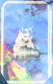 Image of ACID CAT