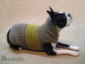 Image of High Collar Pet Sweater