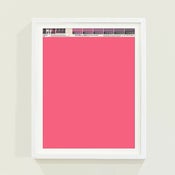 Image of PANTONE® Letraset Posters × Pinks