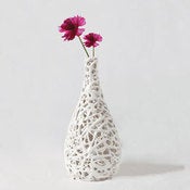 Image of Tangled Web Small Bud Vessel