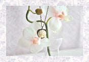 Image of White English Rose