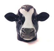 Image of COW EGG CUP