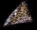 Image of midas pyramid purse