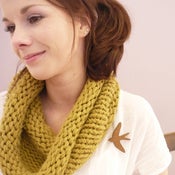 Image of snug.bird