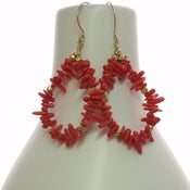 Image of Coral hoop earrings