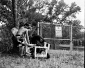 Image of Breaking the law