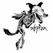Image of SKYFOX Hoodies